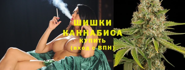 винт Белокуриха
