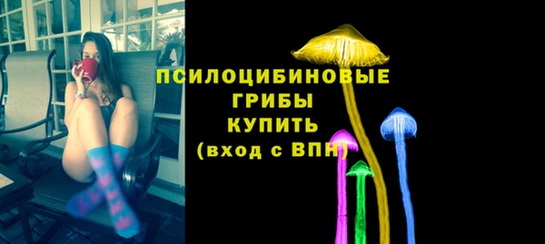 винт Белокуриха