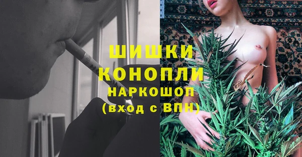 винт Белокуриха