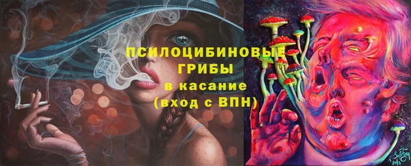 винт Белокуриха