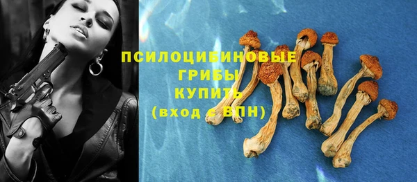 винт Белокуриха