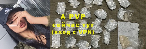 винт Белокуриха