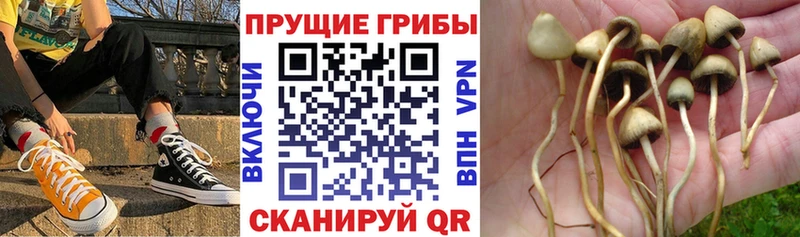 hydra ССЫЛКА  хочу   Нерехта  Псилоцибиновые грибы мицелий 